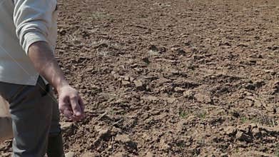 Slow motion footage of a person walking on a plowed field and sowing oat on it