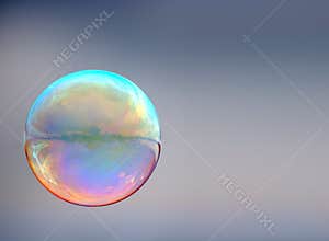 Soap bubble on gray