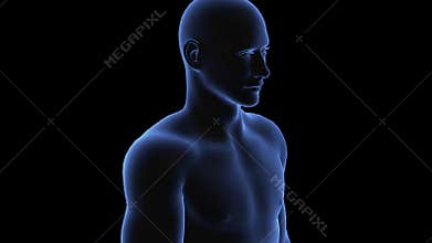Man with pathology. 3d body of boy. Male human figure