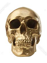 Golden skull on white background