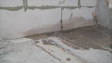 Chicken takes food from a feeder in a chicken coop. On a modern poultry farm, broilers drink water and take medications for