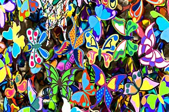 Ð¡oloured butterflies
