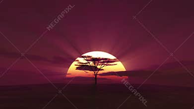 big sun sunrise in Africa