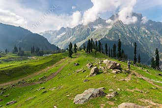 Beautiful summer season in Sonamarg. Landscape of Himalaya mountains and meadow. Kashmir, north India