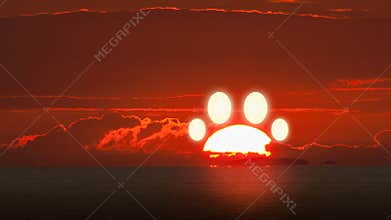 Rainbow Bridge animal pet dog cat paw footprint made from setting sunset sun