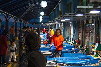 Preparing raw fish in Dongmyeonhang Port, South Korea
