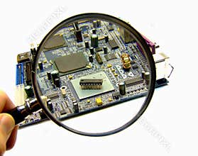 Computer bug