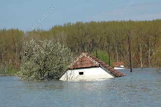 Flood