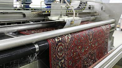 Automatic line for carpet cleaning
