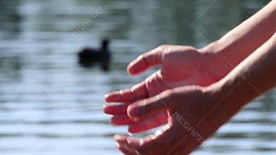 Slow-motion shot of hands holding wild lake water