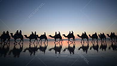 Silhouette of tourists on camel ride convoy on Cable Beach Broome Western Australia 02