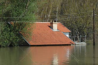 Flood