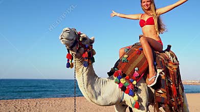 Egypt tourism with camel riding back for young woman
