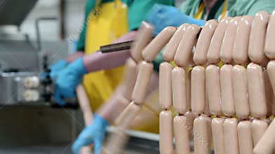 Sausage factory meat production industry
