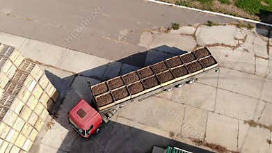 Apple harvest. A truck, full of wooden crates with freshly harvested apples, goes to storage warehouse. outdoors. aero