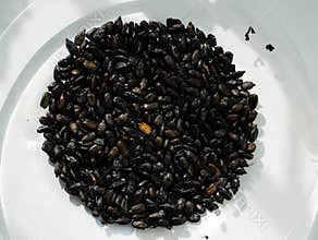 Heavily roasted to black sunflower seeds. Bad food