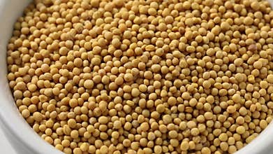 Bowl with yellow mustard seeds close up