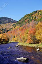 Peaceful autumn fall stroll to enjoy the colorful leaves