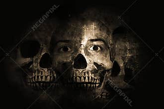 Life and death