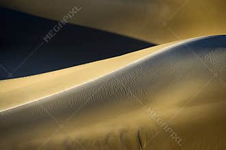 Lines and curves - Sand dune abstract
