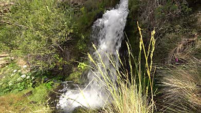 Crystal clear water flowing down the mountain