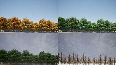 Four seasons landscape Nature concept