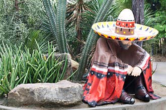 Mexican Man in Cactus Park