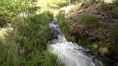 Crystal clear water flowing down the mountain