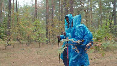 Two hikers in raincoats backpacking in rainy wood