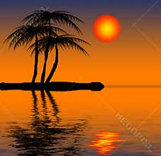 Tropical beach