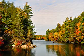 Fall Folliage and a lake.
