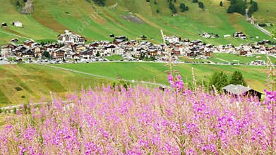 View of mountain alpine village in summer