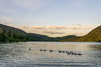 Paul Lake Summer time with green mountains and white clouds british columbia canada