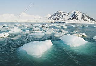Arctic Ocean - ice in the sea
