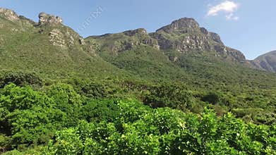 Kirstenbosch botanical gardens - Cape Town