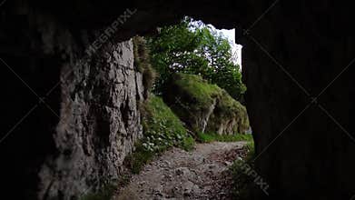 Green plants by entrance to narrow mountain cave from inside