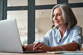 Smiling mature middle aged woman using laptop computer sitting at workplace.