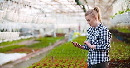 Agribusiness, female farmer working in greenhouse