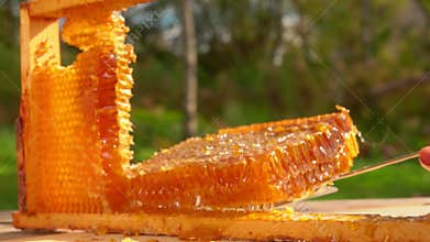 Part of the honeycombs cut out of the frame