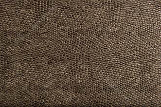 High Quality Animal Reptile Skin Patten and Textur