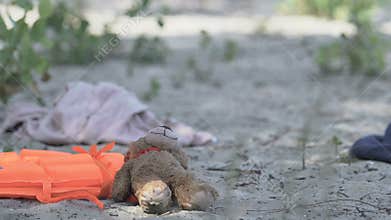 Things scattered on sea coast, bringing ashore after shipwreck, catastrophe
