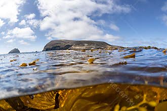 Over under split image of Santa Barbara Island