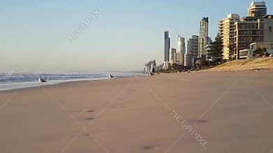 One person adults walking on a sandy beach.