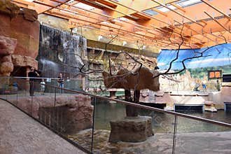Interior of the modern Africarium with artificial waterfall in Wroclaw Zoo