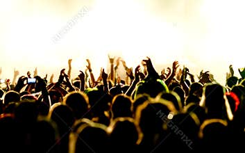 Concert Crowd
