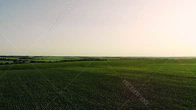 Aerial vast green field view - Agriculture field aerial photo - Green landscapes drone.