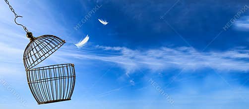Freedom concept. Escaping from a cage