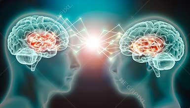 Love emotion or empathy cerebral activity in caudate nucleus. Human brains connected with plexus lines. Conceptual illustration of