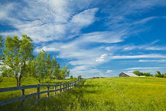 Pasture