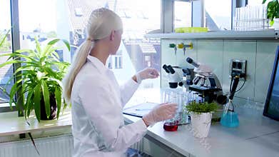 Scientist working in lab. Female doctor making medical research. Laboratory tools: microscope, test tubes, equipment